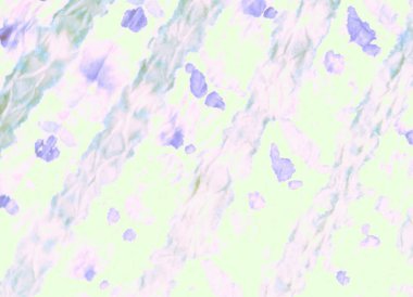 Islak Sanat Yazıcısı. Dişlerimi fırçaladım. Banner 'a su sıçrat. Bağla, Grunge. Yeşil suluboya baskı. Nazik Tie Dye Batik. Gökkuşağı El Yapımı Kirli Sanat. Sanatsal Kirli Sanat. Suluboya Deseni.