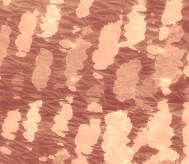 Eski Kirli Sanatlar Arkaplanı. Pis Art Grunge. Suluboya Baskı. Islak Sanat Yazıcısı. Dişlerimi fırçaladım. Aquarelle dokusu. Kremalı kravat boyası. Banner.Tie Dye Shirt. Kahverengi