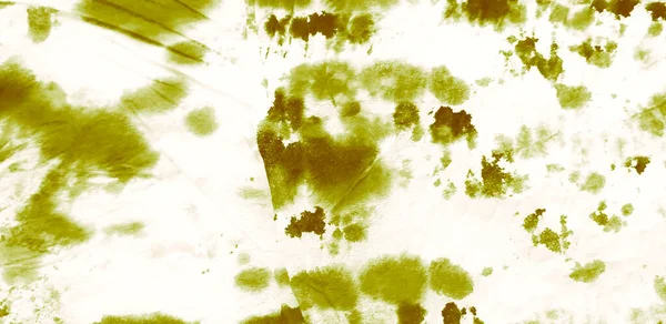 绿色肮脏艺术背景 手工制作的肮脏艺术品 动物模式 动物印刷品 刷横幅 刷过的Graffiti Tie Dye图案 豹动物水彩印 白衬衫领带 — 图库照片