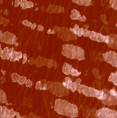 Karamel Sanatsal Kirli Sanat. El yapımı Dirty Art. Aquarelle dokusu. Dişlerimi fırçaladım. Dye Batik 'i bağla. Krem suluboya deseni. Banner 'ı fırçaladım. Suluboya Baskı. Shocolate Tie Boya Yamalı.