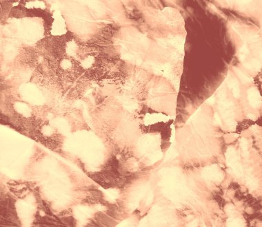 Hayvan baskısı. Soyut Sıçrama. Kahverengi Kirli Sanat Arkaplanı. Sanatsal Kirli Sanat. Suluboya deseni. Suluboya Baskı. Krem Hayvanı Boyası Parmak izi. Otantik Fırça Sanatı. Tie Dye Batik. Zebra