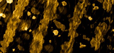 Banner 'ı fırçaladım. Kravat boyası Grunge. Sarı Kahverengi Kirli Sanat Grunge. Lüks arka plan. Suluboya doku. Aquarelle Yazdır. Altın Eşsiz Tekstil. Suluboya deseni. Soyut Poster.