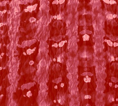 Suluboya deseni. Karamel Tie Dye Batik. Aquarelle dokusu. Soyut Sıçrama. Banner 'ı fırçaladım. Boyalı Kravat Parmak izi. Kırmızı Vintage Kirli Sanat Ressamlığı. Pis Art Grunge. Suluboya Yazdırma.