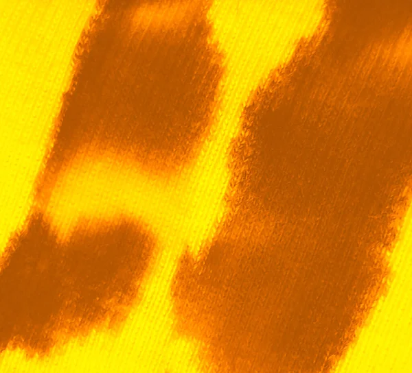 어두운 페이퍼 페인트 바다없는 프린팅 오렌지 타이어 Dye Print Animal — 스톡 사진