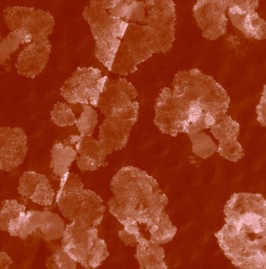 Suluboya Baskı. Otantik Fırça Sanatı. Klasik El Yapımı Kirli Sanatlar. Kirli Sanat Arkaplanı. Aquarelle dokusu. Dişlerimi fırçaladım. Boyalı Kravat deseni. Krem Hayvan Baskısı. Koyu Kravat Boyalı Yama.