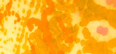Aquarelle dokusu. Soyut Sıçrama. Flama sıçradı. Boyalı Kravat deseni. Turuncu suluboya deseni. Sarı kravat boyalı Grunge. Yeşil El Yapımı Kirli Sanat. Kirli Sanat Arkaplanı. Islak Resim Yazdırma.