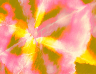 Islak Sanat Yazıcısı. Yeşil kravat boyası Grunge. Soyut Sıçrama. Boyalı Kravat deseni. Turuncu suluboya deseni. Banner 'ı fırçaladım. Sarı Kirli Sanat Arkaplanı. Pis Art Grunge. Suluboya Yazdırma.