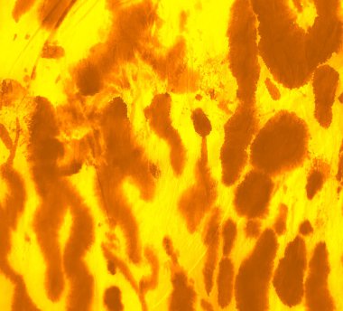 Portakallı Kirli Resim. Sanatsal Hayvan Baskısı. Kusursuz desen. Zebra desenli kravat boyalı batik. Sarı Kova deseni. Jaguar Koyu Suluboya Yazdırma. Koyu Afrika Kravat Boyası.