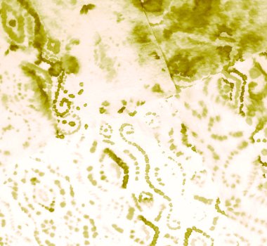 Suluboya deseni. Banner 'ı fırçaladım. Soyut Sıçrama. Boyalı Gömlek. Beyaz Krem Kirli Sanat Grunge. Sanatsal Kirli Sanat. Islak Sanat Yazıcısı. Suluboya Baskı. Yeşil Kravat Boyası Yazdırma.