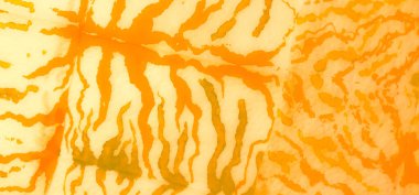 Banner 'ı fırçaladım. Batik' i bağla. Ocher Portakal El Yapımı Kirli Sanat. Kirli Sanat Ressamlığı. Suluboya Baskı. Aquarelle dokusu. Hafif kravat boyalı gömlek. Islak Sanat Yazıcısı. Otantik Fırça Sanatı.