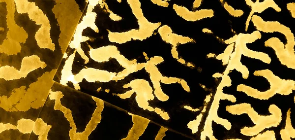 Zebra desenli Afrika kravat boyası. Görkemli Altın Hayvani Duvar Kağıdı. Sanatsal Hayvan Baskısı. Aquarelle dokusu. Kusursuz desen. Altın Hayvan Bağlama Yamalı. Suluboya Baskı. Hayvan Derisi Yazdır. Cazibe 