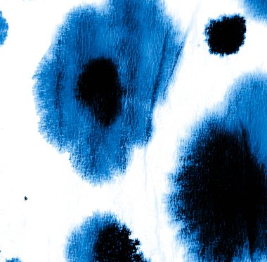 Banner 'a su sıçrat. Kravat boyası. Mavi Hayvan Parmak izi. Hayvan grafitisi. Zebra Suluboya Parmak izi. Beyaz kravat boyası. Indigo Sanatsal Kirli Sanatlar. Kirli Sanat Ressamlığı. Aquarelle Doku.