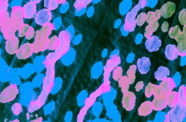 Mavi Sanatsal Kirli Sanat. Kirli Sanat Ressamlığı. Islak Sanat Yazıcısı. Suluboya Baskı. Koyu yeşil kravat boyası. Banner 'a su sıçrat. Tye Die Print. Gül Kova deseni. Banner 'ı fırçaladım. Yeşil 