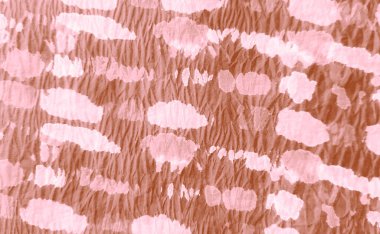 Aquarelle dokusu. Kahverengi kravat desenli boya. Islak Sanat Yazıcısı. Dişlerimi fırçaladım. Kirli Krem Resim. Kirli Sanat Geçmişi. Suluboya desenli. Banner 'ı boşalt. Boyalı Kravat Parmak izi. Kahve.