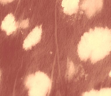 Aquarelle dokusu. Soyut Sıçrama. Kahverengi Kirli Sanat Arkaplanı. Sanatsal Kirli Sanat. Suluboya deseni. Suluboya Baskı. Zebra Tie Dye Batik. Dişlerimi fırçaladım. Kravat boyası. Krema.