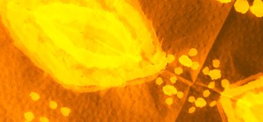 Ocher Dirty Art Grunge. Kirli Sanat Ressamlığı. Suluboya Baskı. Aquarelle dokusu. Kahverengi kravat boyası Grunge. Islak Sanat Yazıcısı. Soyut Sıçrama. Otantik Fırça Sanatı. Tie Dye Batik. Turuncu