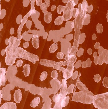 Suluboya deseni. Banner 'ı fırçaladım. Islak Sanat Yazıcısı. Karamel Tie Dye Batik. Otantik Fırça Sanatı. Kravat boyası. Krem Kahverengi Kirli Sanat Arkaplanı. El yapımı Dirty Art. Aquarelle Doku.