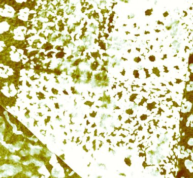 Banner 'ı fırçaladım. Boyalı Kravat Parmak izi. Yeşil Kova dokusu. Klasik kravat boyası deseni. Krem Sanatsal Kirli Sanat. Kirli Sanat Ressamlığı. Islak Sanat Yazıcısı. Suluboya deseni. Fırçalanmış Graffiti.