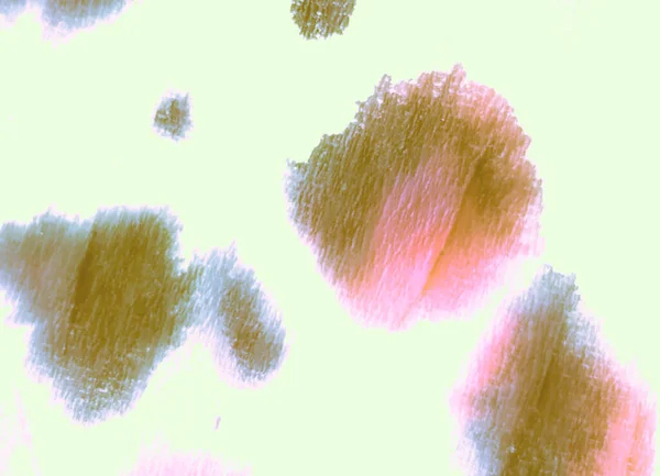 Червоний Брудний Живопис Тваринний Листок Aquarelle Texture Безшовний Паттерн Zebra — стокове фото