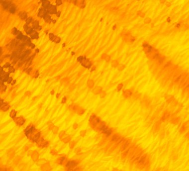 Sarı Dirty Art Grunge. Kirli Sanat Arkaplanı. Islak Sanat Yazıcısı. Suluboya Baskı. Limonlu kravat deseni. Dişlerimi fırçaladım. Kravat boyası Grunge. Turuncu Kova deseni. Otantik Fırça Sanatı.