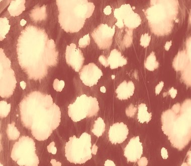 Suluboya Baskı. Dişlerimi fırçaladım. Kirli Krem Resim. Pis Art Grunge. Aquarelle dokusu. Suluboya deseni. Kahverengi kravat boyalı gömlek. Soyut Sıçrama. Tie Boya Çiftliği. Zebra