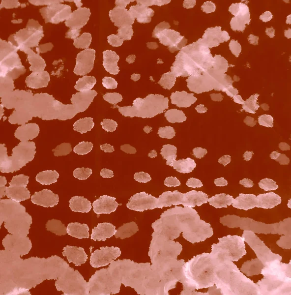 Υφαντική Ακουαρέλα Σοκολάτα Γραβάτα Πουκάμισο Dye Υδατογραφία Μοτίβο Αυθεντική Βουρτσισμένη — Φωτογραφία Αρχείου