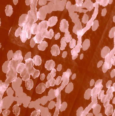 Karamel Dirty Art Grunge. Kirli Sanat Arkaplanı. Suluboya Baskı. Aquarelle dokusu. Dişlerimi fırçaladım. Suluboya deseni. Kahverengi kravat desenli boya. Banner.Tie Dye Shirt. Ayakkabı