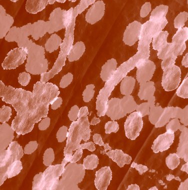 Banner 'ı fırçaladım. Gömleği boyadım. Krem Kova deseni. Banner 'a su sıçrat. Suluboya deseni. Klasik kravat boyası deseni. Kahverengi El Yapımı Kirli Sanat. Kirli Sanat Ressamlığı. Suluboya Yazdırma.