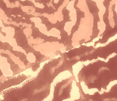 Hayvan baskısı. Otantik Fırça Sanatı. Kara Kirli Sanat Grunge. Sanatsal Kirli Sanat. Suluboya Baskı. Soyut Sıçrama. Tie Boya Çiftliği. Zebra Aquarelle dokusu. Krem Kravat Boyası Yamalı.