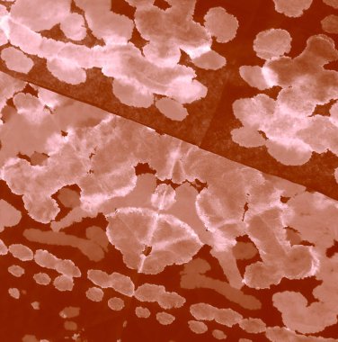 Suluboya Baskı. Klasik Tie Dye Batik. Soyut Sıçrama. Boyalı Gömlek. Kahverengi Islak Sanat Yazıcısı. Banner 'ı fırçaladım. Karamel Kirli Sanat Arkaplanı. Kirli Sanat Ressamlığı. Aquarelle Doku.