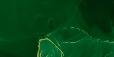 Yeşil Çağdaş Sanat. Soyut Tasarım. Islak Sanat Yazıcısı. Suluboya Baskı. Soyut Sıçrama. Suluboya doku. Çiçek Alkol Mürekkebi Sanatı. Mürekkep Graffiti. Sanatçı Alkol Mürekkebi. Siyah