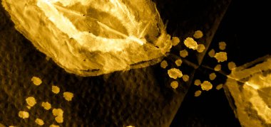 Soyut Sıçrama. Kravat boyası Grunge. Altın sarısı lüks arka plan. Pis Art Grunge. Aquarelle Yazdır. Suluboya doku. Göz kamaştırıcı duvar kağıdı. Suluboya deseni. Parıltılı Kravat Deseni.