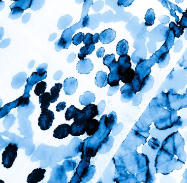 Islak Sanat Yazıcısı. Beyaz kravat boyalı batik. Banner 'ı fırçaladım. Boya yamalı kravat. Indigo Mavi Sanatsal Kirli Sanat. Kirli Sanat Ressamlığı. Suluboya Baskı. Aquarelle dokusu. Dişlerimi fırçaladım. Açık Mavi 