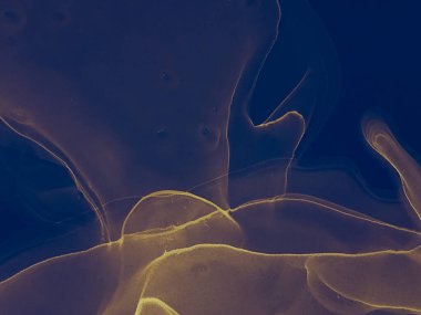 Indigo Soyut Tasarım. Çağdaş Sanat. Islak Sanat Yazıcısı. Suluboya Baskı. Siyah Alkol Mürekkep Sanatı. Suluboya doku. Mürekkep Graffiti. Soyut Sıçrama. Alkol Mürekkebi Gömleği. Koyu Mavi