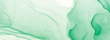 Derin Yeşil Su Taklidi. Modern sanat. Suluboya deseni. Suluboya Baskı. Banner 'a su sıçrat. Suluboya doku. Çiçek Alkol Mürekkebi Sanatı. Mürekkep Graffiti. Alkol Mürekkebi Yazdır. Yeşil