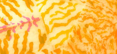 Banner 'ı fırçaladım. Boyalı Kravat Parmak izi. Hafif Kova dokusu. Yeşil kravat boyası Grunge. Islak Sanat Yazıcısı. Dişlerimi fırçaladım. Sarı Kirli Sanat Arkaplanı. Sanatsal Kirli Sanat. Suluboya Deseni.