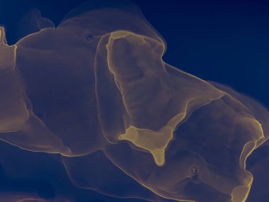 Koyu Mavi Su Taklidi. Soyut arkaplan. Suluboya deseni. Islak Sanat Yazıcısı. Soyut Sıçrama. Suluboya Baskı. Mavi Alkol Mürekkebi Sanatı. Banner 'a su sıçrat. Alkol Mürekkebi Gömleği. Siyah