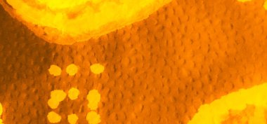 Ocher Dirty Art Grunge. Sanatsal Kirli Sanat. Islak Sanat Yazıcısı. Aquarelle dokusu. Soyut Sıçrama. Banner 'ı fırçaladım. Boyalı Kravat Parmak izi. Kahverengi suluboya baskı. Turuncu Kravat Boyalı Yama.