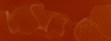 Kırmızı Ochre Su Taklidi. Soyut boyama. Suluboya deseni. Suluboya doku. Karamel Sanatsal Alkol Mürekkebi. Suluboya Baskı. Mürekkep Graffiti. Banner 'a su sıçrat. Alkol Mürekkebi Sanatı. Krema.