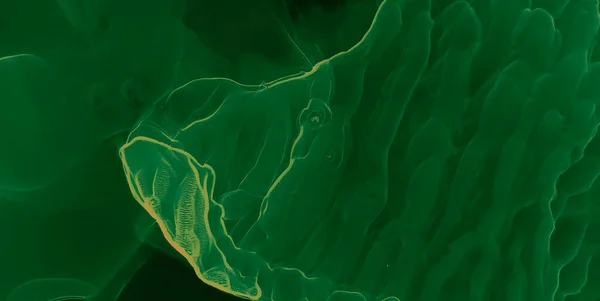 緑の抽象的背景 水の模倣 水彩プリント スプラッシュバナー アルコールインクプリント 花色のパターン 水彩画 ダークグリーンアルコールインクシャツ — ストック写真