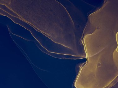 Altın Soyut Boyama. Soyut arkaplan. Suluboya Baskı. Islak Sanat Yazıcısı. Mavi Sanatsal Alkol Mürekkebi. Mürekkep Graffiti. Alkol Mürekkebi Yazdır. Siyah suluboya dokusu. Flama SancağıName.