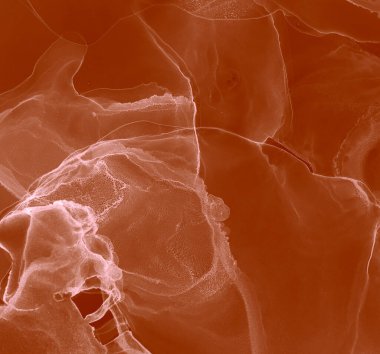 Kahverengi Kahverengi Soyut Arkaplan. Soyut boyama. Suluboya doku. Suluboya Baskı. Ochre Artistik Alkol Mürekkebi. Islak Sanat Yazıcısı. Mürekkep Graffiti. Banner 'a su sıçrat. Alkol Mürekkebi Gömleği. Kırmızı