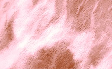 Islak Sanat Yazıcısı. Banner 'ı fırçaladım. Otantik Fırçalı Sanatlar. Kravat boyası. Beyaz El Yapımı Kahve Kirli Sanatlar. Kirli Sanat Geçmişi. Suluboya Baskı. Aquarelle dokusu. Vintage Tie Boya Çiftliği.