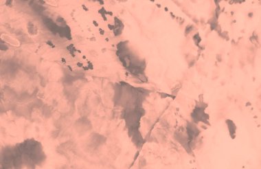 Gümüş Sanatsal Kirli Sanat. Kirli Sanat Arkaplanı. Suluboya Baskı. Islak Sanat Yazıcısı. Banner 'ı fırçaladım. Gri Fırçalı Graffiti. Kravat boyası baskısı. Gül Kova deseni. Pembe kravat boyalı batik..