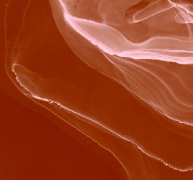 Kırmızı Modern Sanat. Soyut arkaplan. Suluboya deseni. Suluboya Baskı. Kahverengi Alkol Mürekkebi. Soyut Sıçrama. Sanatçı Alkol Mürekkebi. Ochre suluboya dokusu. Mürekkep Graffiti.