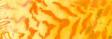 Sonbahar Kirli Sanatlar Arkaplanı. Soyut Kirli Sanat. Islak Sanat Yazıcısı. Aquarelle dokusu. Banner 'a su sıçrat. Süslü Fırça Banner. Kravat boyası baskısı. Turuncu suluboya baskı. Parlak Kravat Boyası.