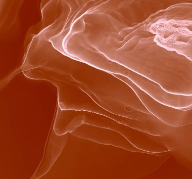 Kahverengi Çağdaş Sanat. Su taklidi. Islak Sanat Yazıcısı. Suluboya deseni. Banner 'a su sıçrat. Mürekkep Graffiti. Alkol Mürekkebi Yazdır. Ochre Suluboya Yazdırma. Kakao Alkol Mürekkebi Deseni.