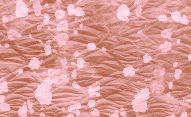 Islak Sanat Yazıcısı. Shocolate Tie Boya Yamalı. Beyaz Kirli Sanat Ressamlığı. Dirty Art Grunge. Suluboya desenli. Aquarelle dokusu. Dişlerimi fırçaladım. Otantik Fırça Sanatı. Tie Dye Batik. Kahverengi