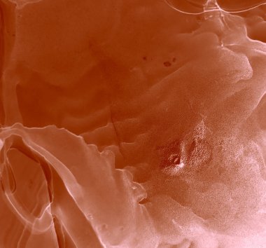 Pembe Modern Sanat. Çağdaş Sanat. Islak Sanat Yazıcısı. Banner 'a su sıçrat. Alkol Mürekkebi Örnekleri. Kakao suluboya baskısı. Kahverengi Alkol Mürekkebi Gömleği. Suluboya doku. Soyut Sıçrama.