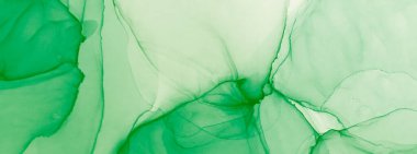 Çiçekli Modern Sanat. Su taklidi. Islak Sanat Yazıcısı. Suluboya Baskı. Derin Yeşil Sanatsal Alkol Mürekkebi. Banner 'a su sıçrat. Alkol Mürekkebi Gömleği. Yeşil suluboya dokusu. Mürekkep Graffiti.